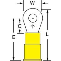 RV10-8Q